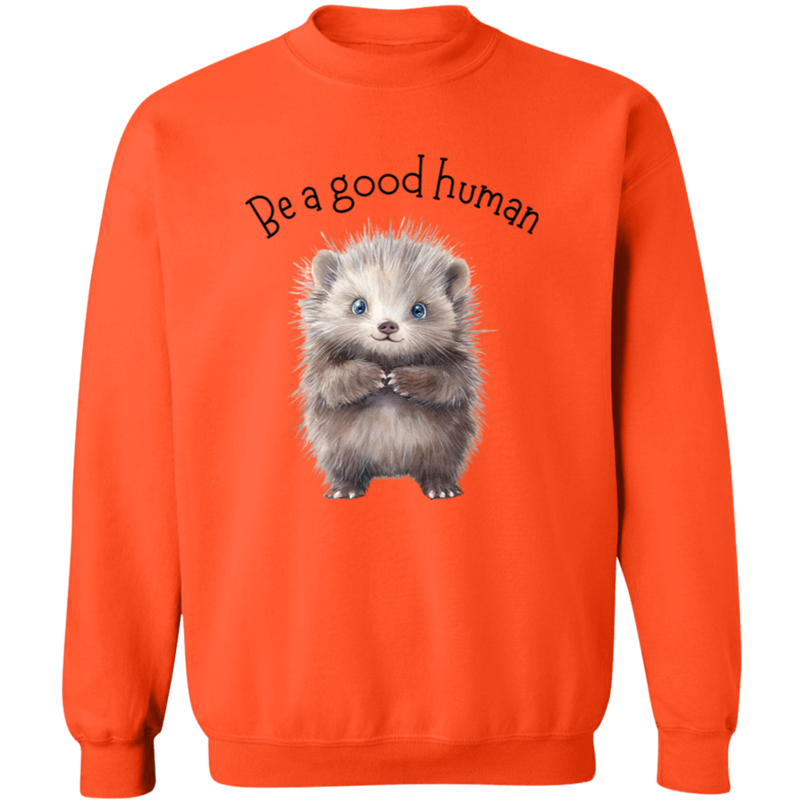 Be A Good Human, Cute Porcupine Cozy Pullover Sweatshirt, Inspirational Spread the Love Shirts, Choose your Color