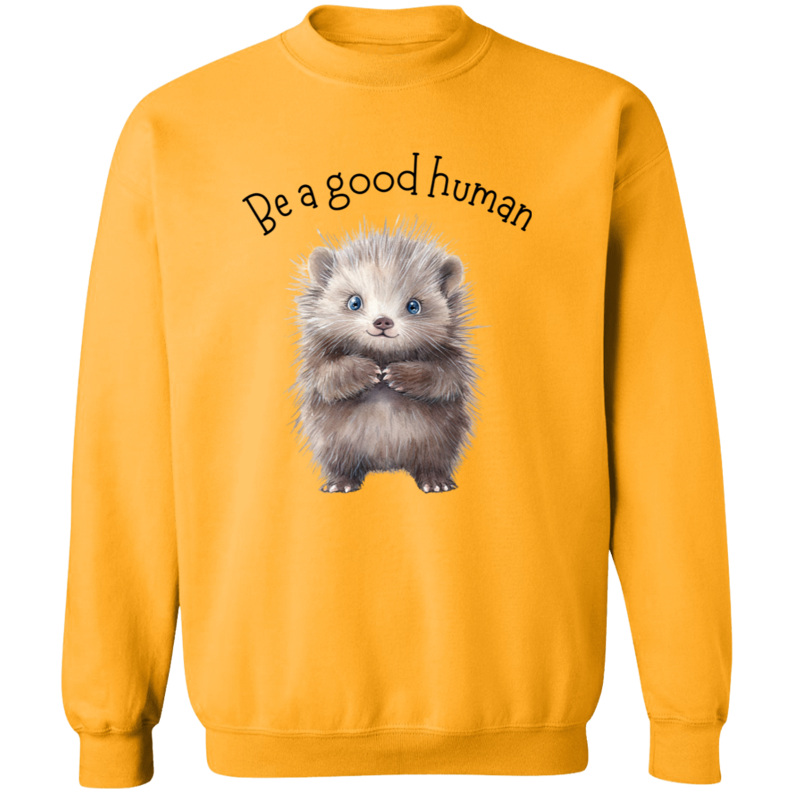 Be A Good Human, Cute Porcupine Cozy Pullover Sweatshirt, Inspirational Spread the Love Shirts, Choose your Color