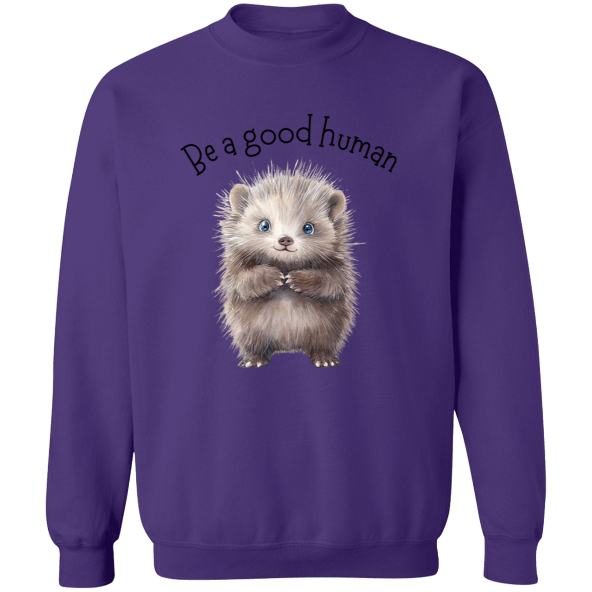 Be A Good Human, Cute Porcupine Cozy Pullover Sweatshirt, Inspirational Spread the Love Shirts, Choose your Color