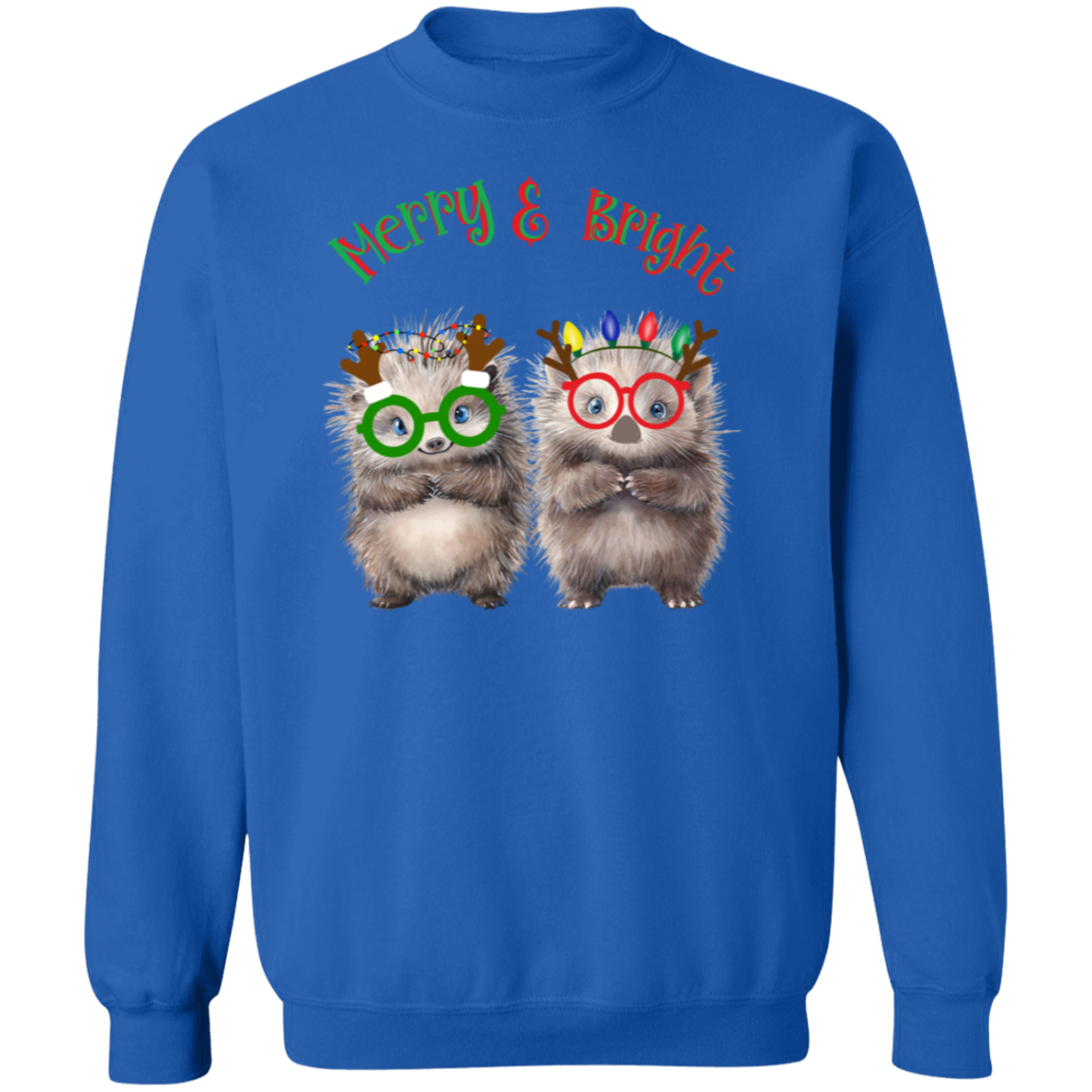 Merry & Bright Festive Cute Porcupine Couple Ladies Soft Pullover Sweatshirt