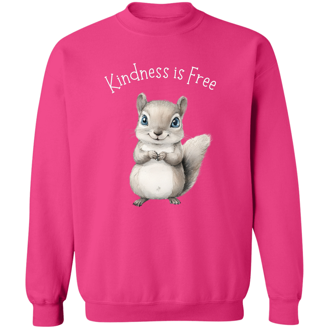 Kindness is Free, Cute Squirrel Animal Lover, Cozy Pullover Sweatshirt, Many Colors
