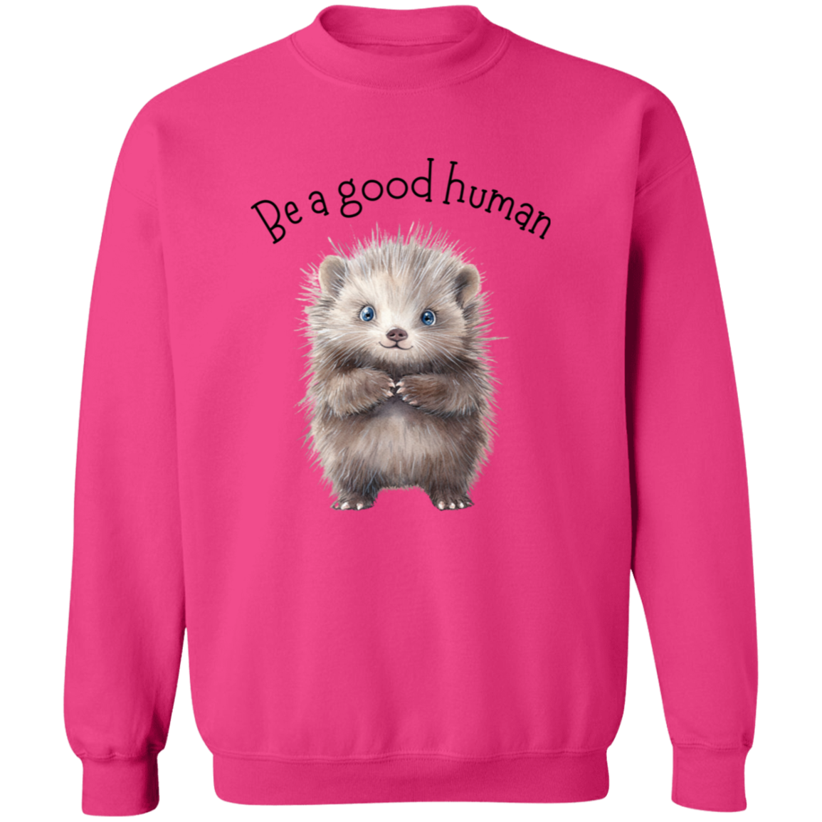 Be A Good Human, Cute Porcupine Cozy Pullover Sweatshirt, Inspirational Spread the Love Shirts, Choose your Color
